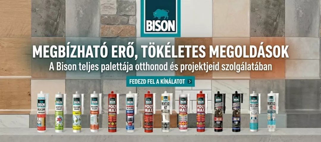 Bison