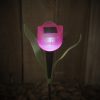 Garden of Eden LED-es szolár tulipánlámpa - 30 cm (11703)