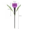 Garden of Eden LED-es szolár tulipánlámpa - 30 cm (11703)