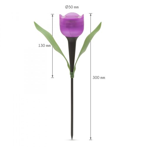 Garden of Eden LED-es szolár tulipánlámpa - 30 cm (11703)