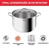 Tefal B8644474 Intuition lábas + fedő 20 cm