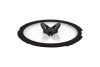 Tefal L9846353 Ingenio üvegfedő - 20 cm 