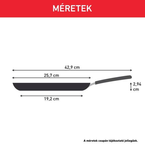 Tefal D5292072 palacsintasütő 25cm 4db tükörtojás vagy pancake mélyedéssel