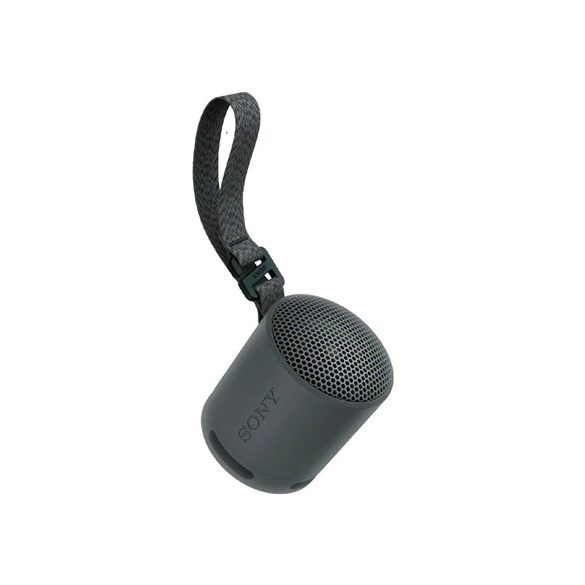 Sony SRSXB100B bluetooth hangszóró