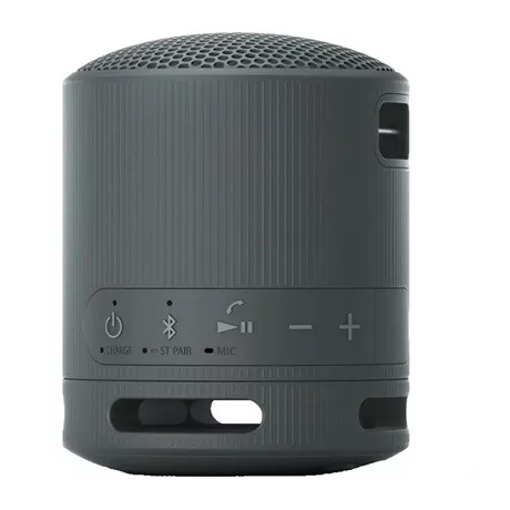 Sony SRSXB100B bluetooth hangszóró