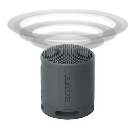 Sony SRSXB100B bluetooth hangszóró