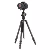 VANGUARD VESTA GO 264CB Karbon állvány gömbfejjel