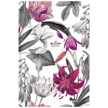 Shkolyaryk B5-IC-080-795L jegyzetfüzet, b5, vonalas, 80 lap, vegyes