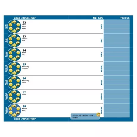 Realsystem TA24-5313-66 diák zsebkönyv, heti, 2024/2025 tanév, füzet