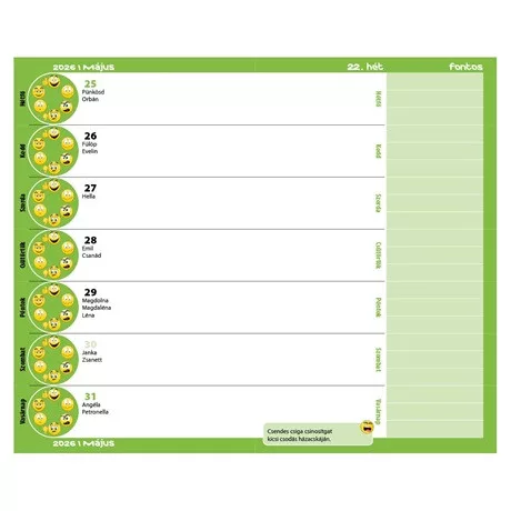 Realsystem TA24-5313-66 diák zsebkönyv, heti, 2024/2025 tanév, füzet