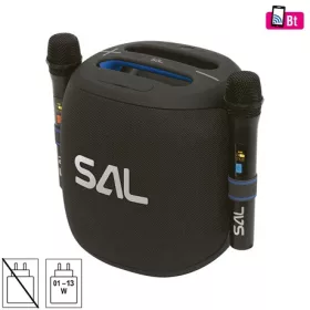   SAL PARCUBE party hangdoboz 2 db vezeték néküli mikrofonnal