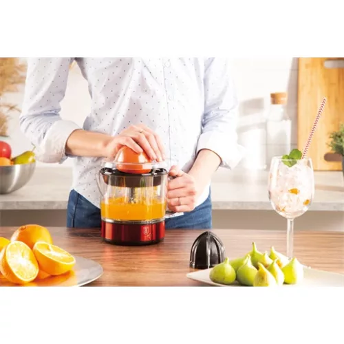 Berlinger Haus BH/9386 citrusfacsaró