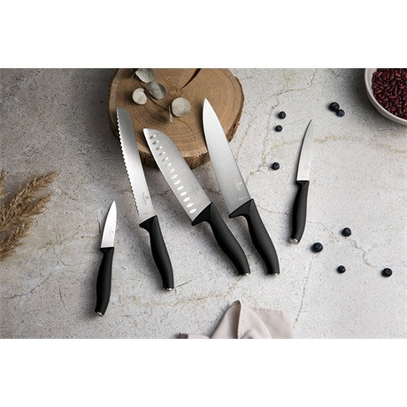 Berlinger Haus BH/2943 késkészlet 6 részes mágneses akasztóval