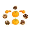 Őszi dekoráció - tök és toboz szett - 9 részes - 5-7 cm (59004)