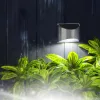 Garden Of Eden Szolár lámpa - fali - 10 x 5 x 8 cm - 4 fehér SMD LED (11783)