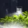 Garden Of Eden Szolár lámpa - fali - 10 x 5 x 8 cm - 4 fehér SMD LED (11783)