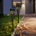 Garden Of Eden Leszúrható szolár lámpa - 1 melegfehér LED - 28,5 x 7 cm (13011)