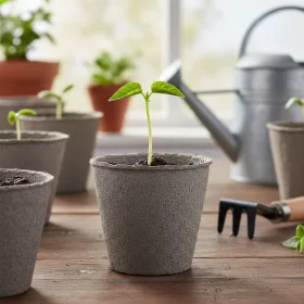   Palántanevelő cserép - Ø8 cm - kerek, papír - 10 db / csomag (11986)