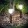 Garden Of Eden LED-es kültéri szolár lámpa 300 x 45 mm műanyag - fekete (11701A)