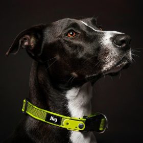   Tickless JK9 nyakörv újratöthető ultrahangos kullancsriasztóval - neon