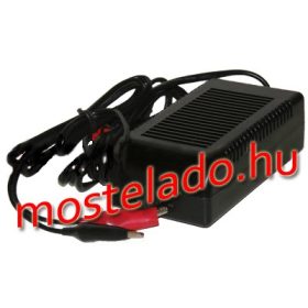 RedDot 6V 0.3A zselés akkumulátor töltő