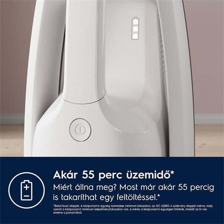 Electrolux ES52HB25SH porszívó álló