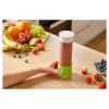 Sencor SBL 131GR smoothie maker