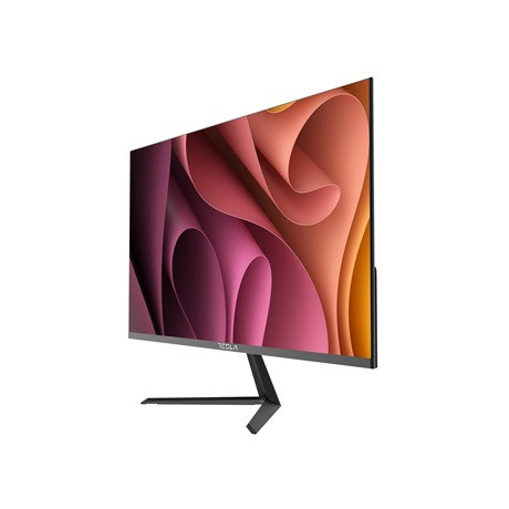 Tesla 24MC625BF monitor