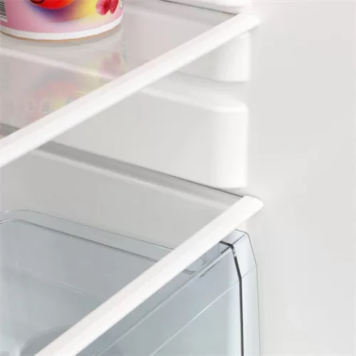 Tesla RS1100ME hűtő egyajtós 113 l