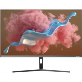 Tesla 24MC346GF monitor