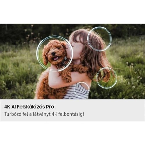 Samsung QE42S90FAEXXH uhd oled smart tv