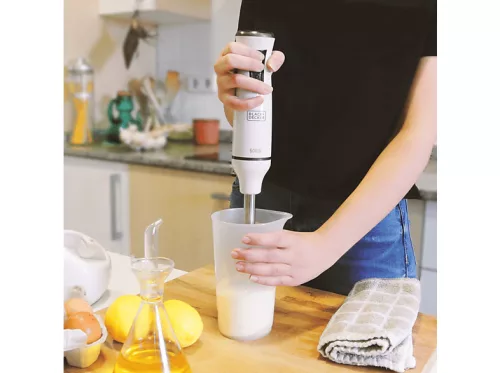 Black and Decker BXHBA600E botmixer