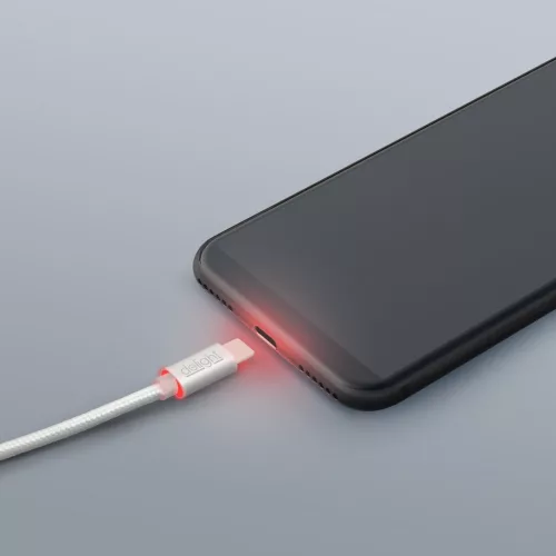 DeLight USB Type-C adatkábel 1m, LED fénnyel - ezüst (55442C-WH)