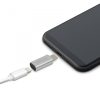 Delight Adapter - iPhone lightning - Type-C (55448B)