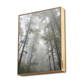   Energy Sistem Hangszóró BT -  Frame Speaker Forest (BT5.0, 2,1; 50W, FM, akku, 20 óra, USB, microSD)