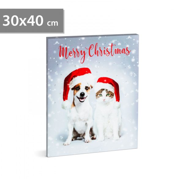 Family Karácsonyi LED-es hangulatkép - fali akasztóval, 2 x AA, 30 x 40 cm (58452)