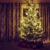 Family Fényfüzér - 50 db LED - melegfehér - hálózati - 5 m - 8 program (58900A)