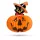 Halloween-i tökös lampion - macskával - akasztható - 26 cm (58137A)