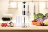 Girmi MX66 botmixer