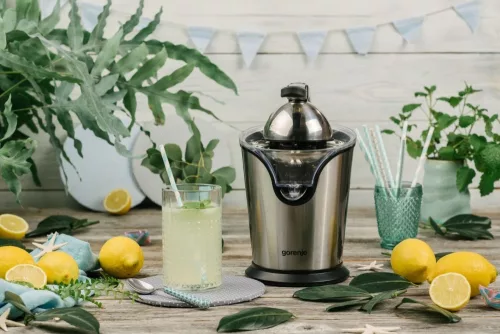 Gorenje CJ100HE citrusprés