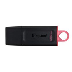Kingston DTX/256GB pendrive