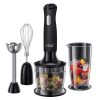 Russell Hobbs 2470256 botmixer 3in1