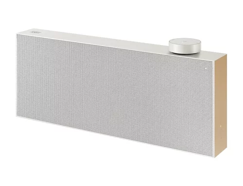 Samsung VL551/EN Bluetooth hangszóró