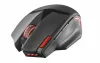 Trust GXT 130 Ranoo vezeték nélküli Gamer egér (20687)