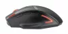 Trust GXT 130 Ranoo vezeték nélküli Gamer egér (20687)