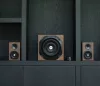 Trust Vigor 2.1 subwoofer (20244)