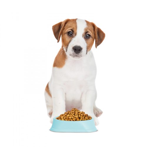 Yummie Etetőtál habzsolásgátlóval - 20 x 20 x 4,5 cm - kék (60061A)