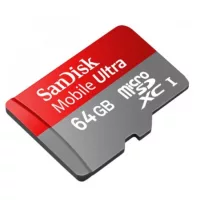 Secure Digital (SD)