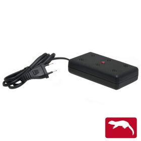 Nyestriasztó (55645)